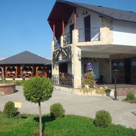 Pension La Taticu Sacalaseni Exterior photo